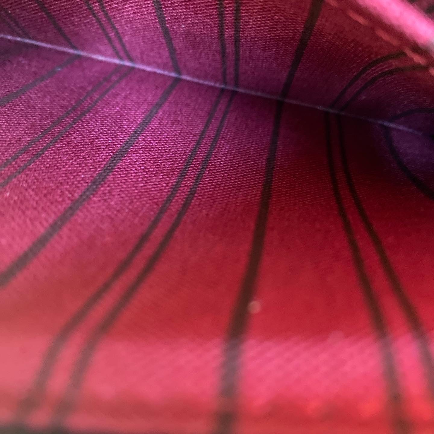 Preloved Neverfull Wristlet PM