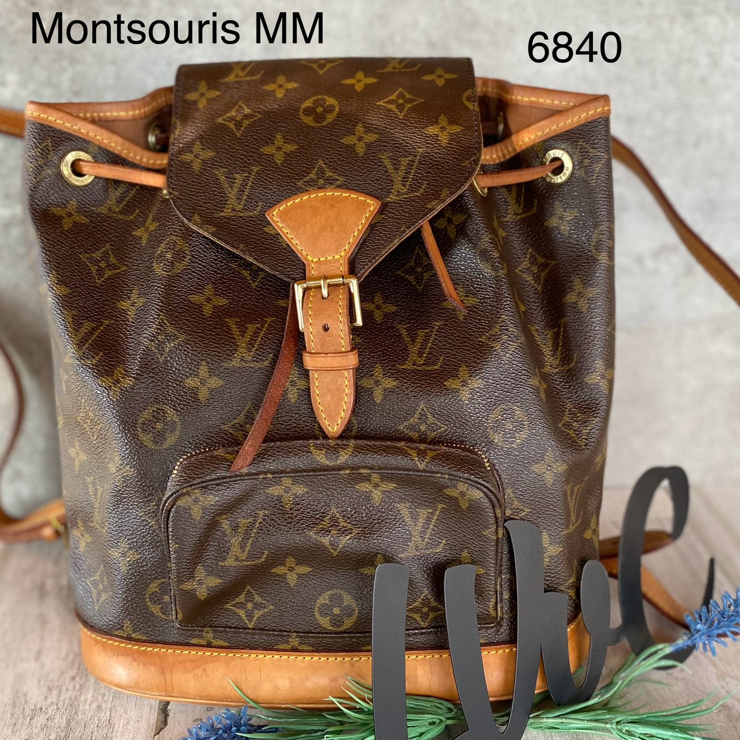 Preloved Authentic Montsouris MM backpack