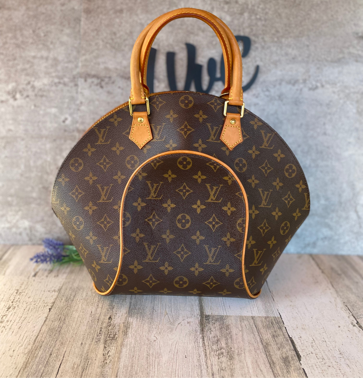 Preloved Authentic Ellipse MM hand bag