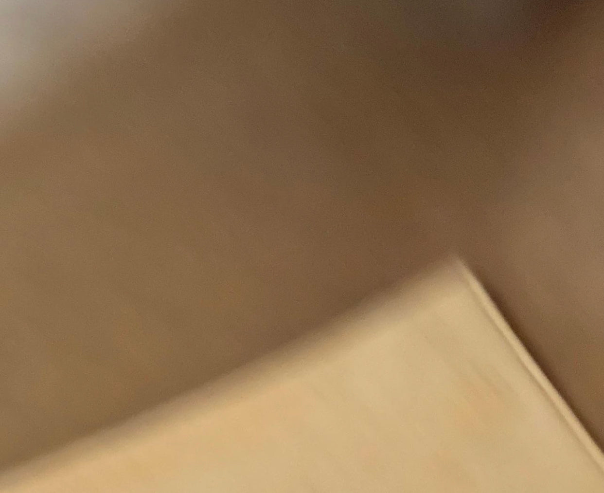 Preloved Authentic GG Plus Tote