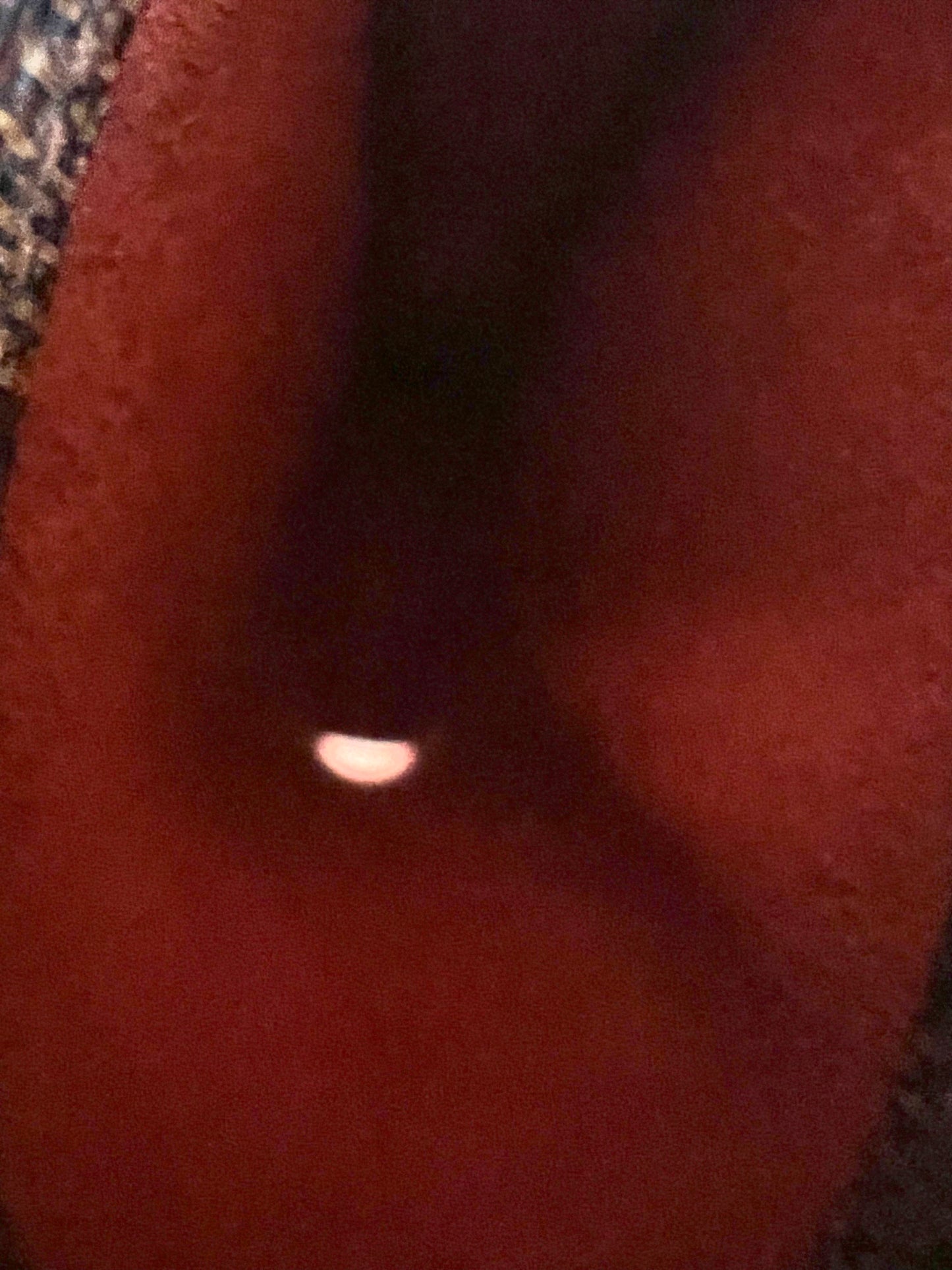 Preloved Authentic Etui Lunettes