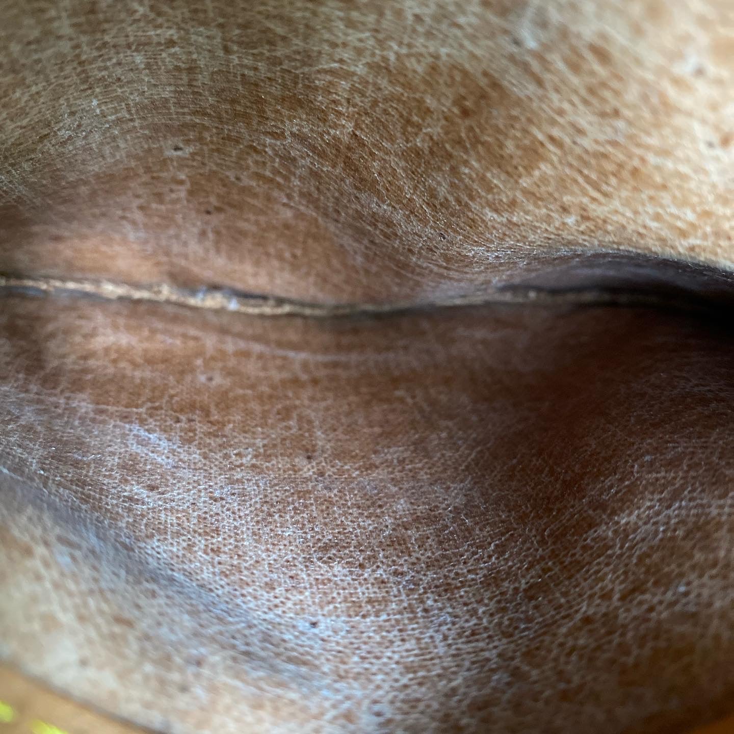 Preloved Authentic Speedy 40 handbag