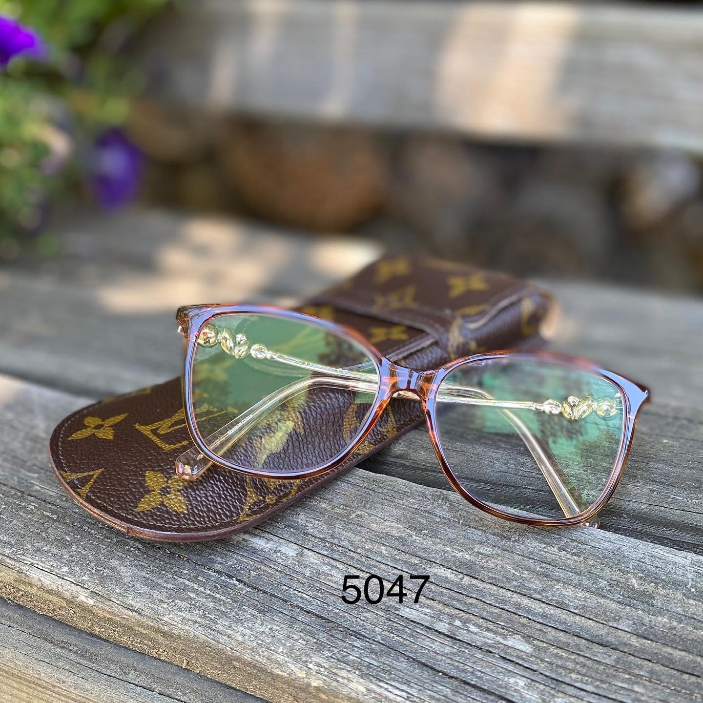 Preloved Eye Glass/Accessories Case