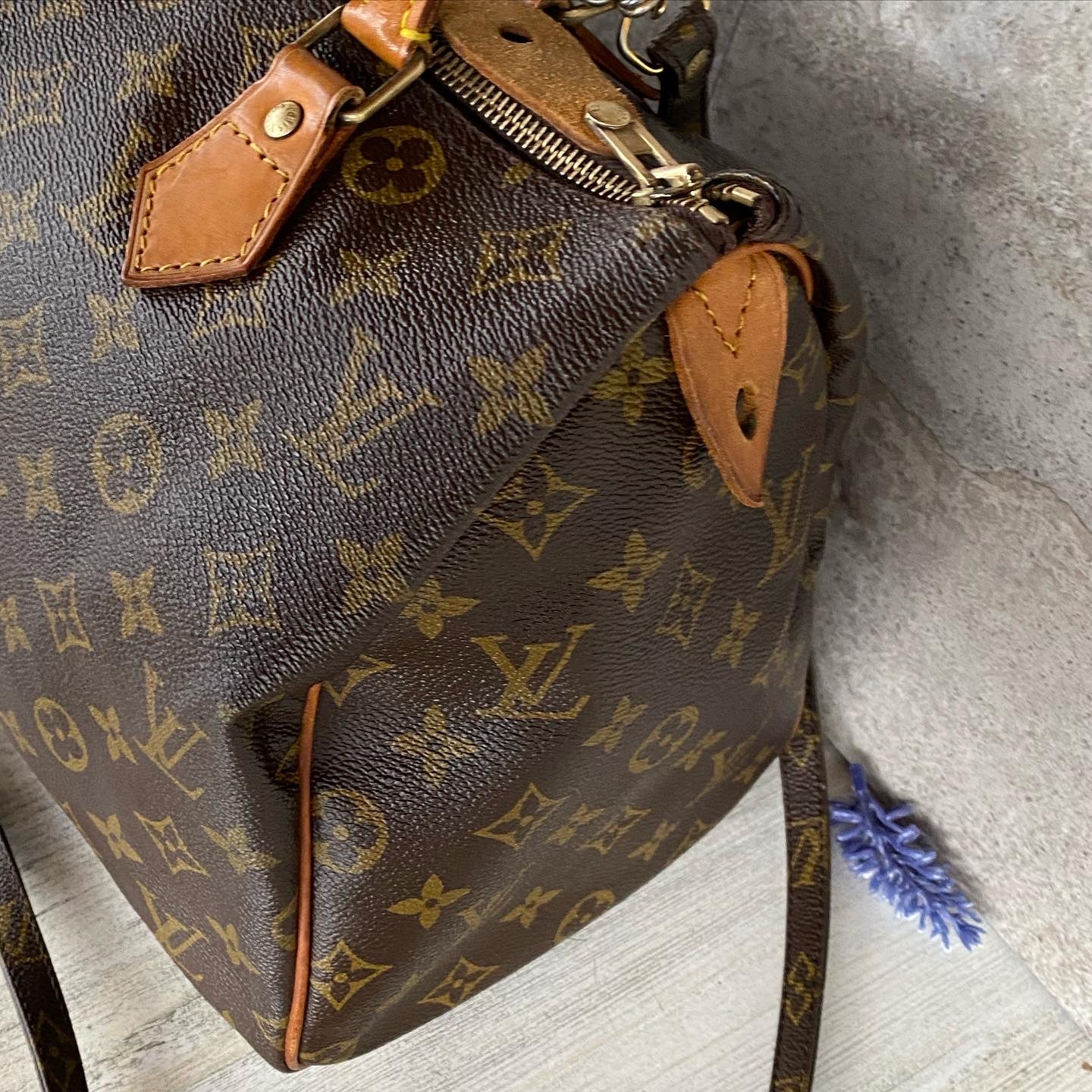 PreLoved Speedy 30