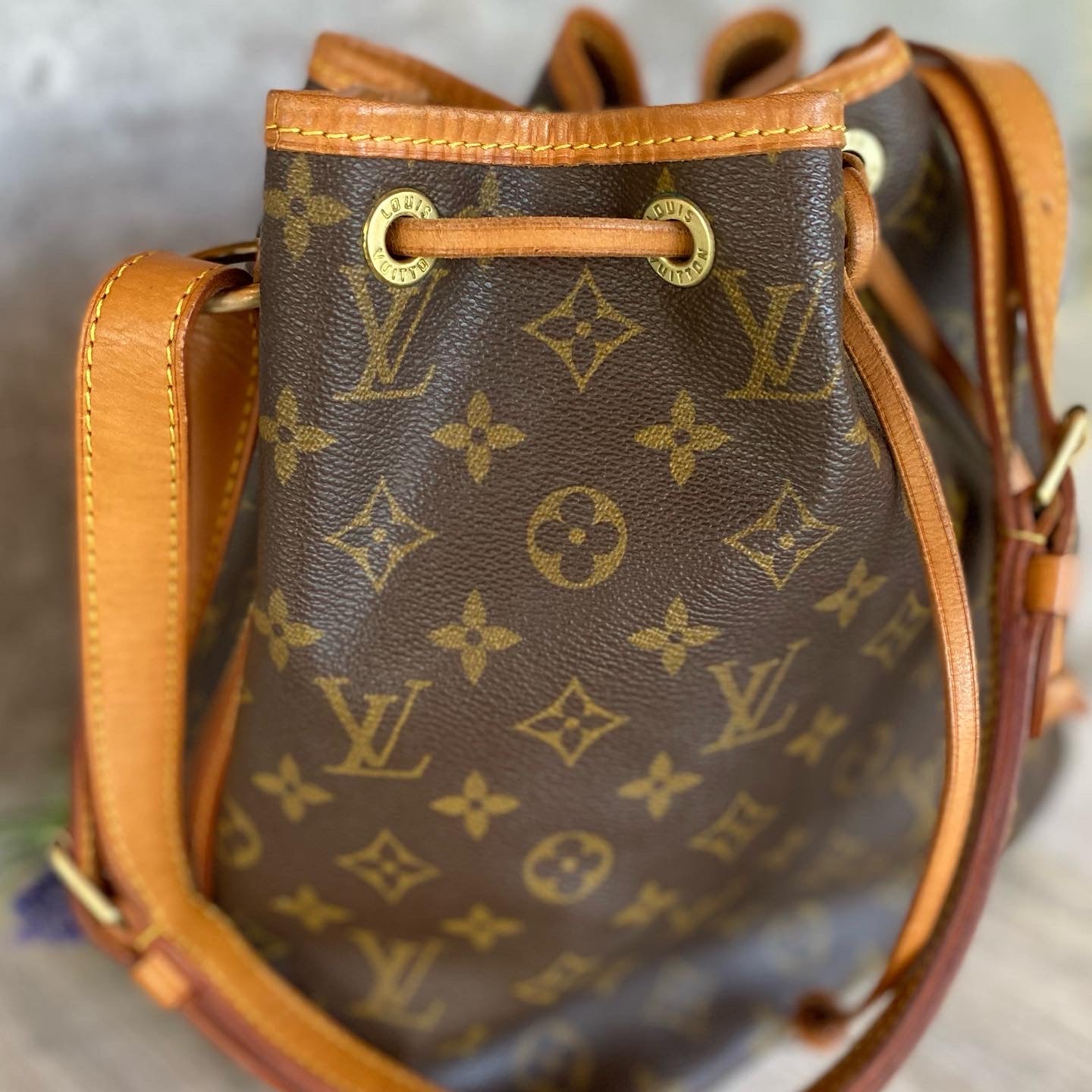 Preloved Petit Noe