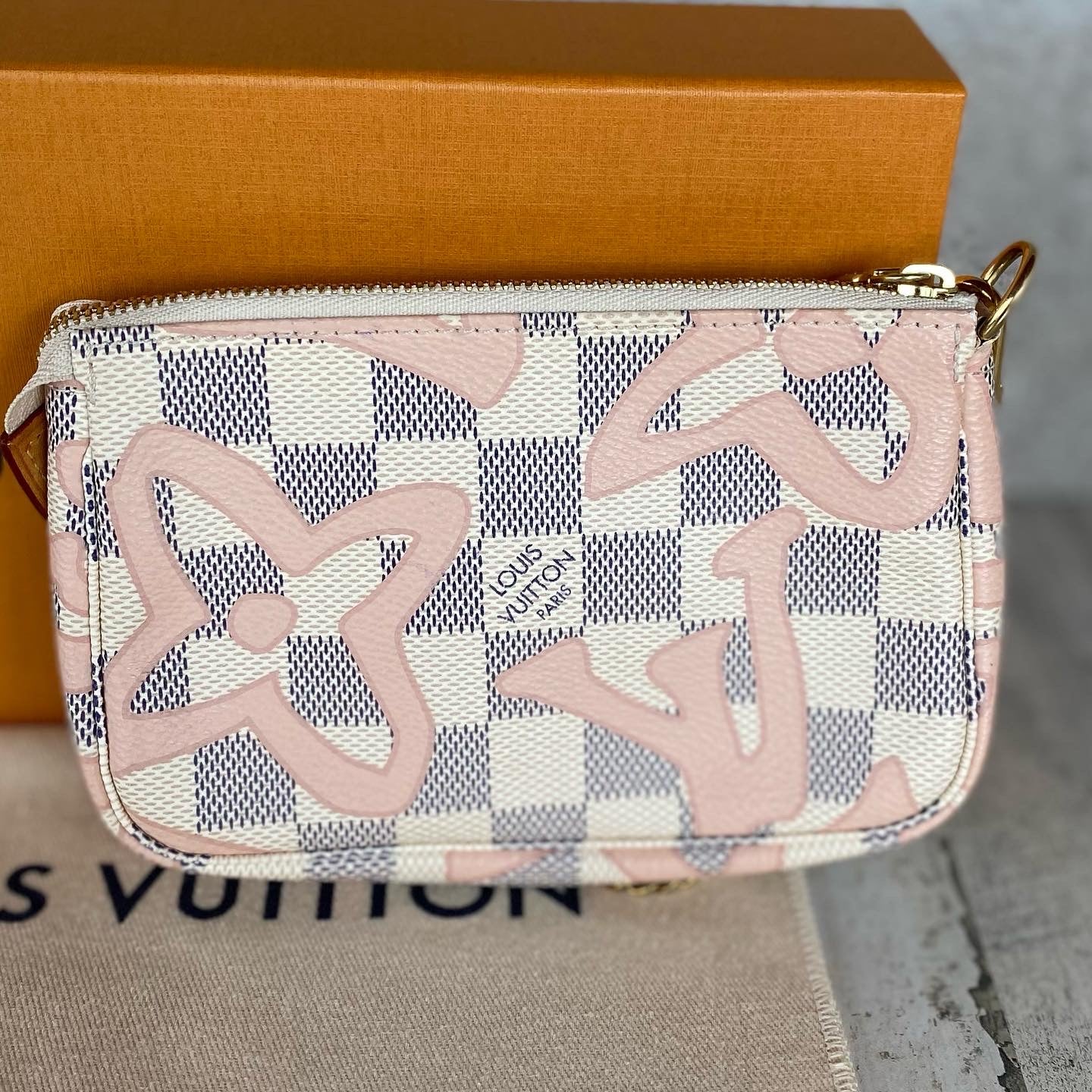 Preloved Mini Pochette Accessories
