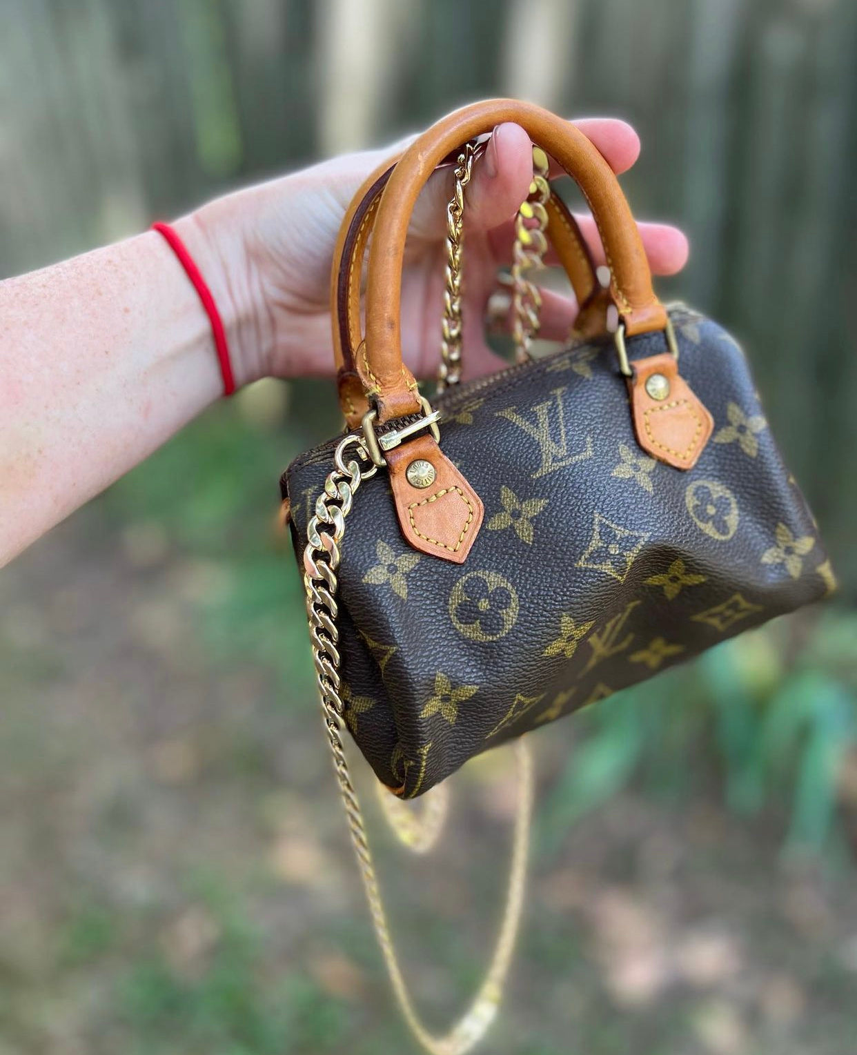 Louis Vuitton Mini Speedy Crossbody - Main Image