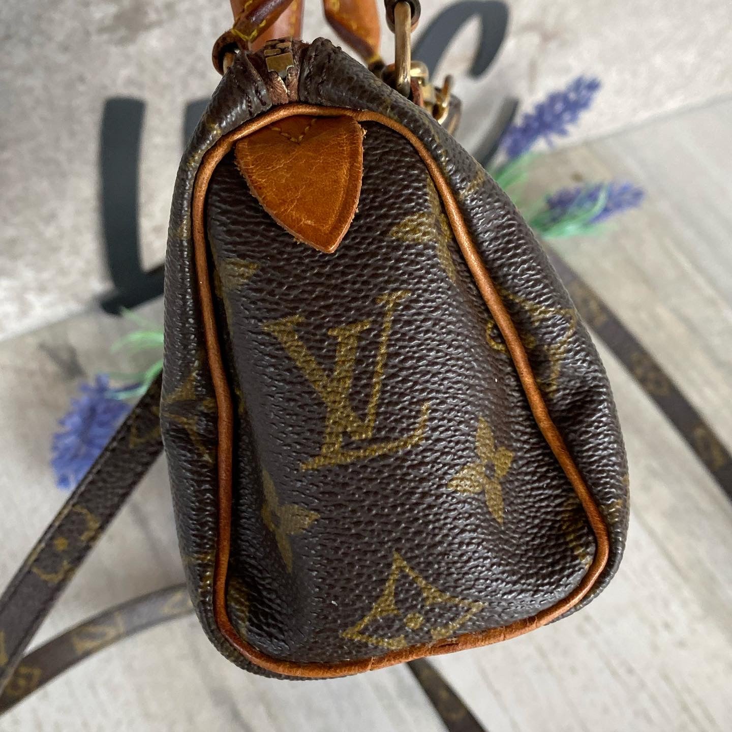 Preloved Mini Speedy