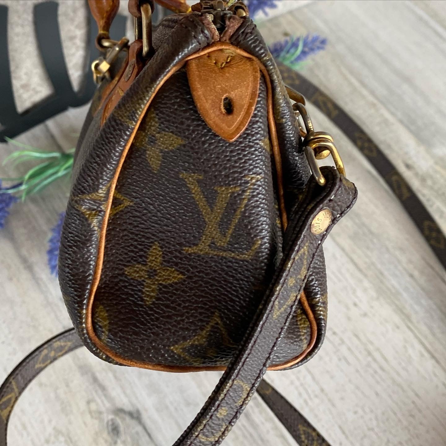 Preloved Mini Speedy