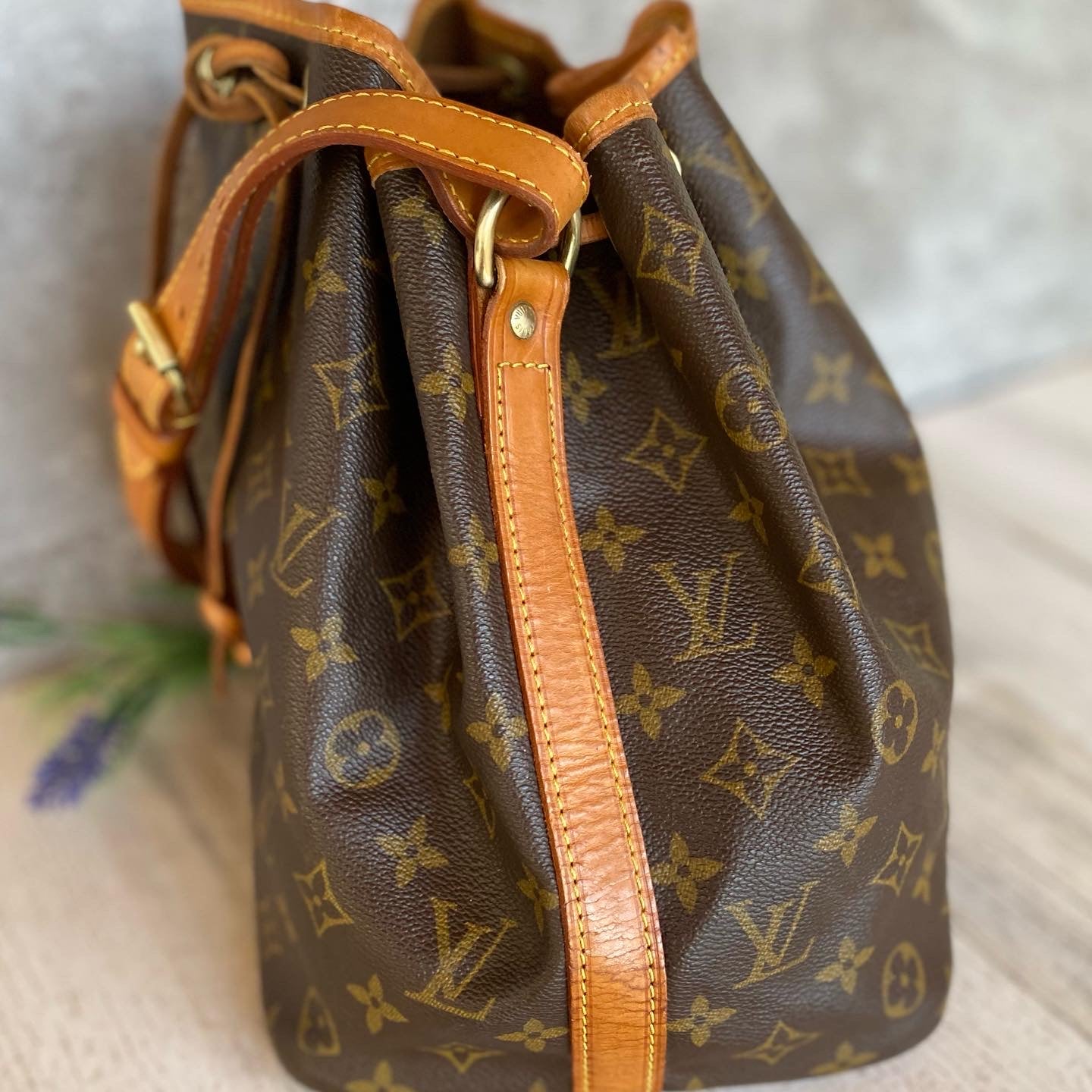 Preloved Petit Noe