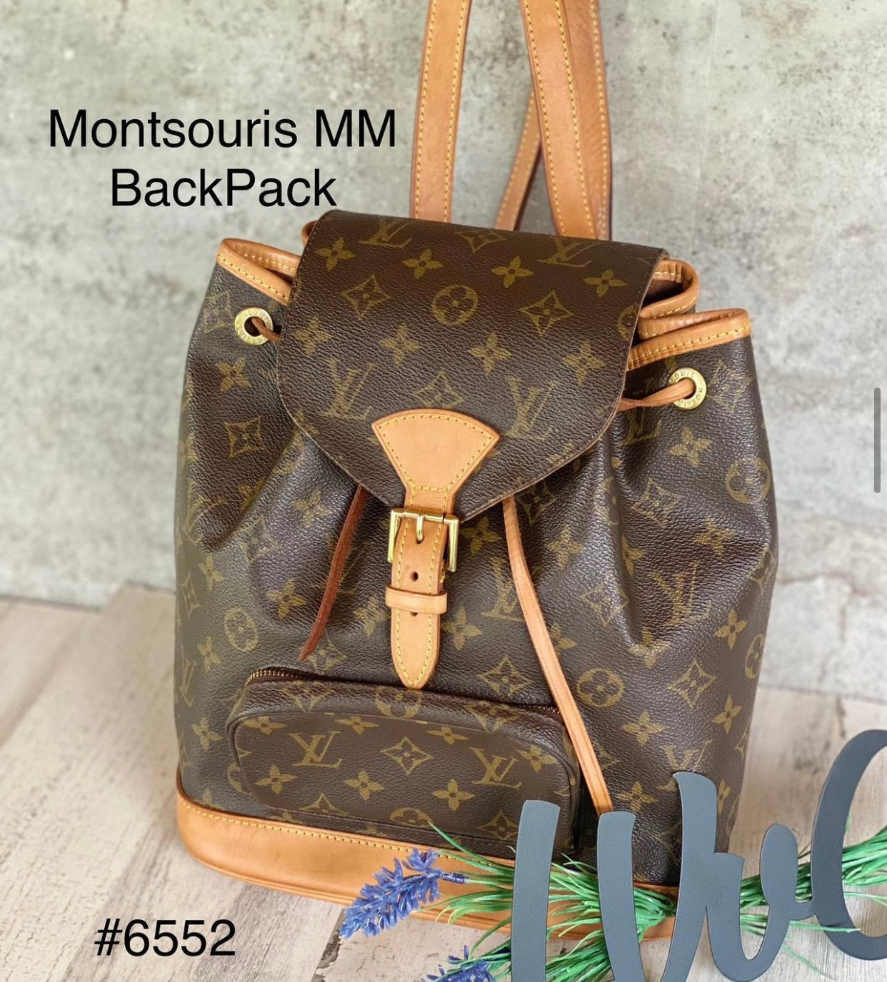 Preloved Authentic Montsouris MM backpack